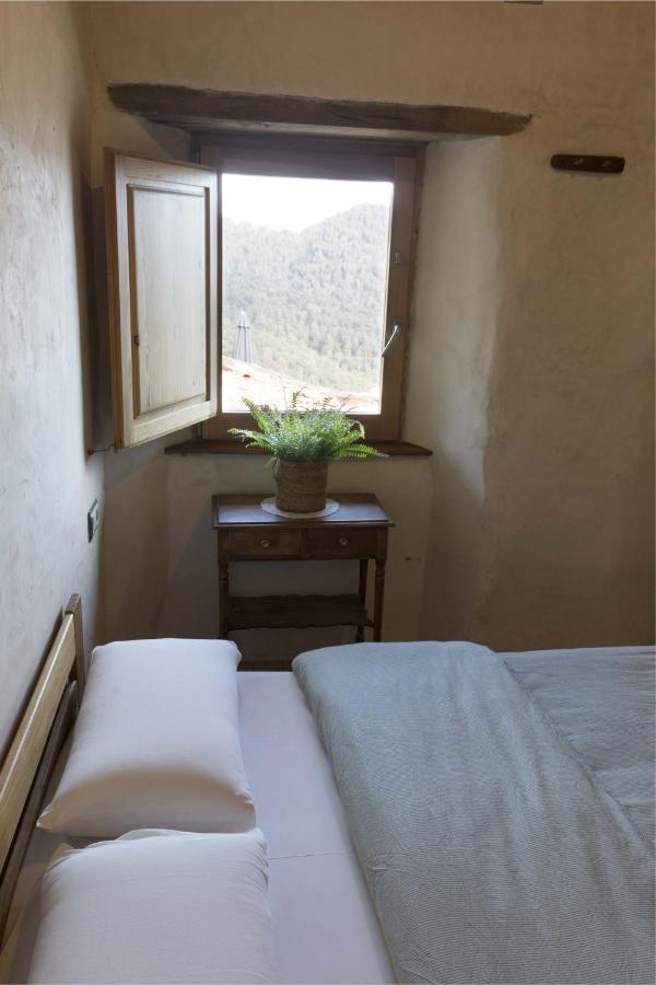 Mas Rural El Negre Hostel Ogassa Ngoại thất bức ảnh