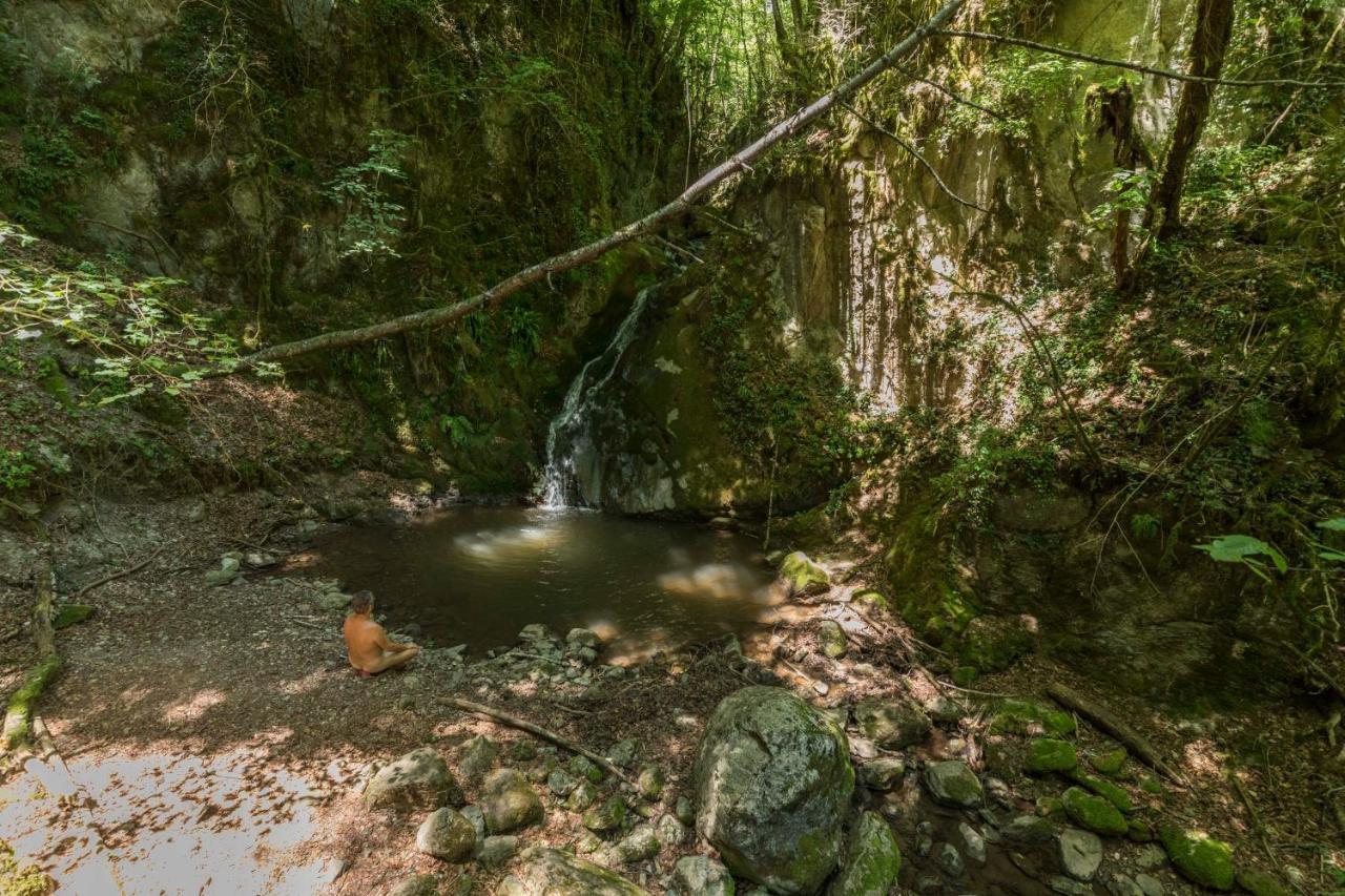 Mas Rural El Negre Hostel Ogassa Ngoại thất bức ảnh